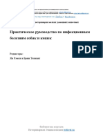 Курсовая Работа Лечение Абсцессов У Кроликов Живым Весом